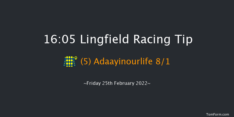 Lingfield 16:05 Handicap (Class 6) 8f Sat 19th Feb 2022