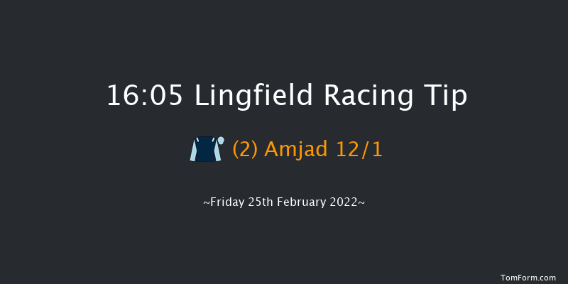 Lingfield 16:05 Handicap (Class 6) 8f Sat 19th Feb 2022