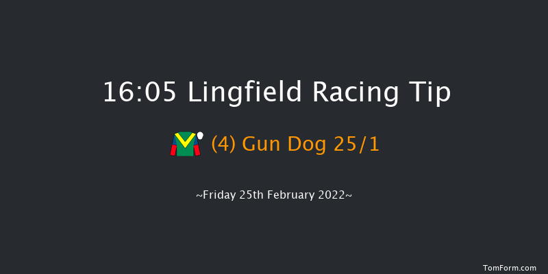 Lingfield 16:05 Handicap (Class 6) 8f Sat 19th Feb 2022