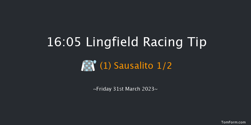 Lingfield 16:05 Handicap (Class 6) 12f Wed 29th Mar 2023