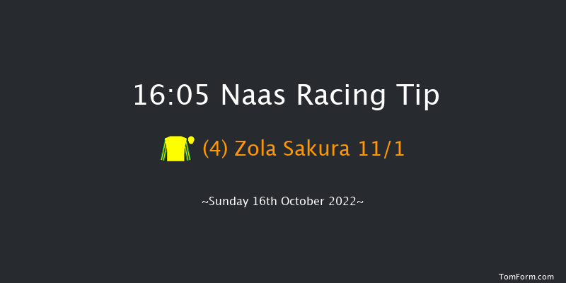 Naas 16:05 Handicap 10f Thu 15th Sep 2022