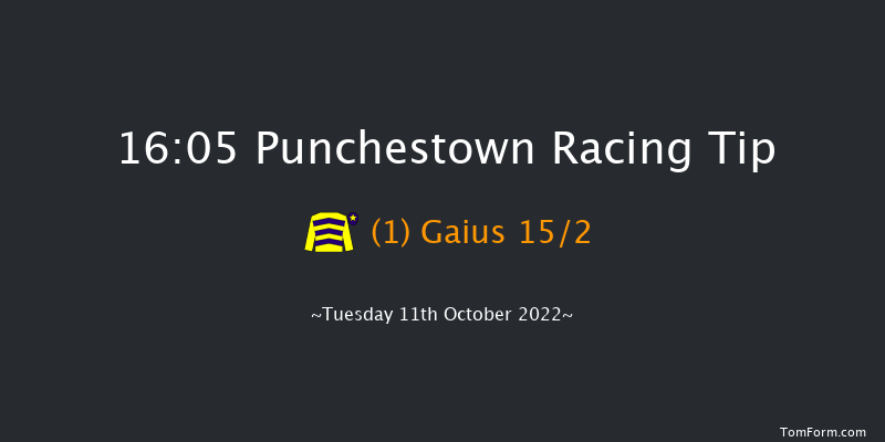 Punchestown 16:05 Handicap Hurdle 21f Tue 13th Sep 2022