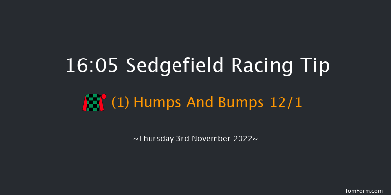 Sedgefield 16:05 Handicap Hurdle (Class 5) 21f Sun 16th Oct 2022