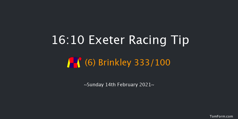 Pertemps Network Handicap Hurdle (GBB Race) Exeter 16:10 Handicap Hurdle (Class 2) 23f Tue 19th Jan 2021