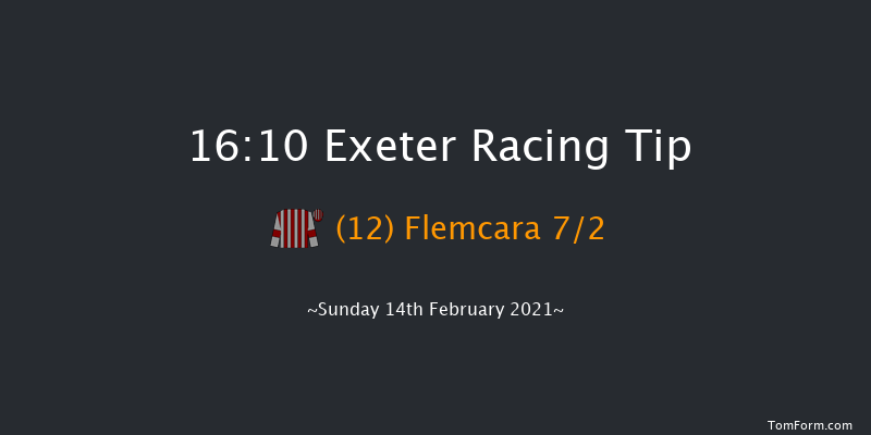 Pertemps Network Handicap Hurdle (GBB Race) Exeter 16:10 Handicap Hurdle (Class 2) 23f Tue 19th Jan 2021