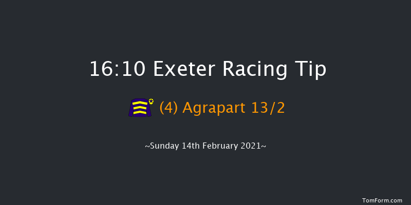 Pertemps Network Handicap Hurdle (GBB Race) Exeter 16:10 Handicap Hurdle (Class 2) 23f Tue 19th Jan 2021