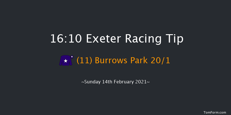 Pertemps Network Handicap Hurdle (GBB Race) Exeter 16:10 Handicap Hurdle (Class 2) 23f Tue 19th Jan 2021