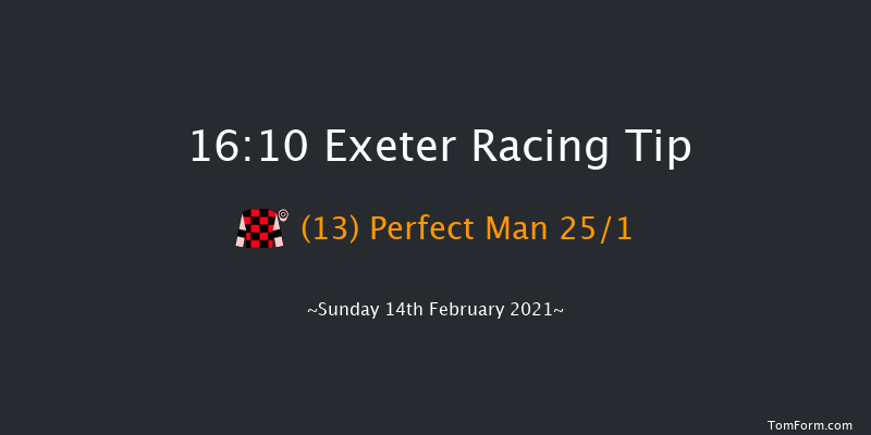 Pertemps Network Handicap Hurdle (GBB Race) Exeter 16:10 Handicap Hurdle (Class 2) 23f Tue 19th Jan 2021