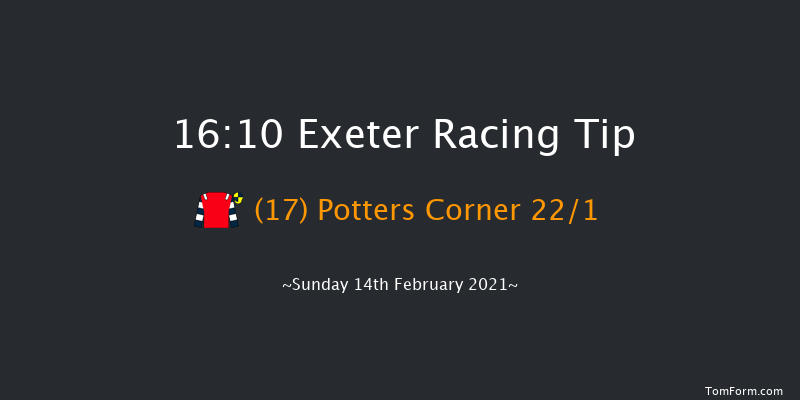 Pertemps Network Handicap Hurdle (GBB Race) Exeter 16:10 Handicap Hurdle (Class 2) 23f Tue 19th Jan 2021