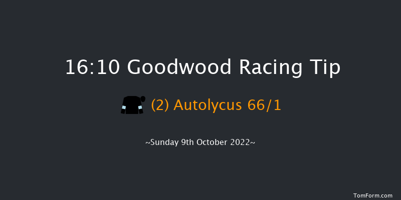 Goodwood 16:10 Stakes (Class 4) 9f Wed 21st Sep 2022