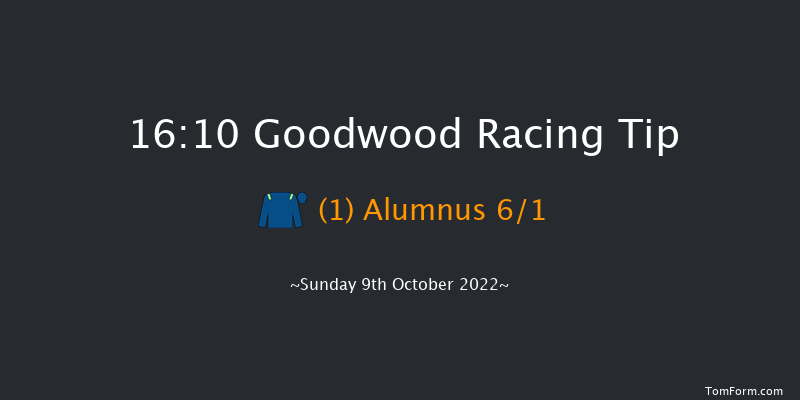 Goodwood 16:10 Stakes (Class 4) 9f Wed 21st Sep 2022