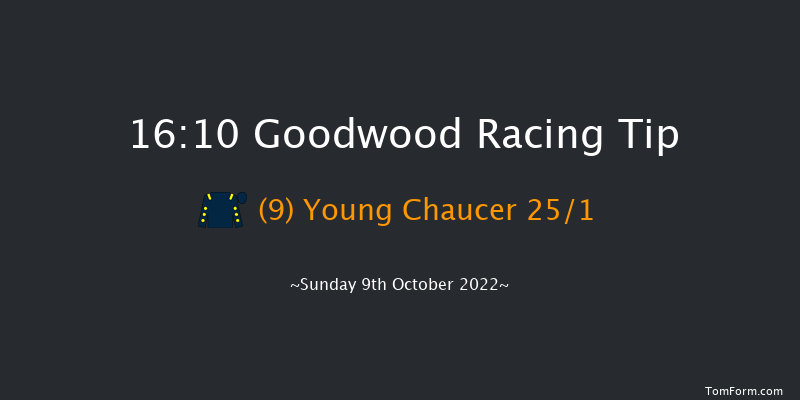 Goodwood 16:10 Stakes (Class 4) 9f Wed 21st Sep 2022