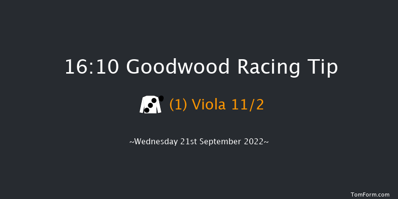 Goodwood 16:10 Handicap (Class 2) 14f Tue 6th Sep 2022