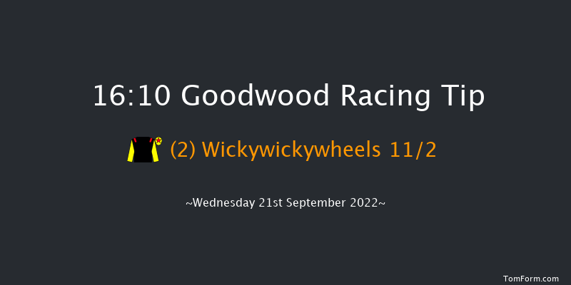 Goodwood 16:10 Handicap (Class 2) 14f Tue 6th Sep 2022