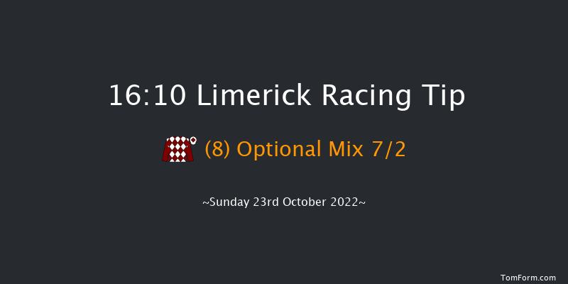 Limerick 16:10 Handicap Chase 20f Thu 21st Jul 2022