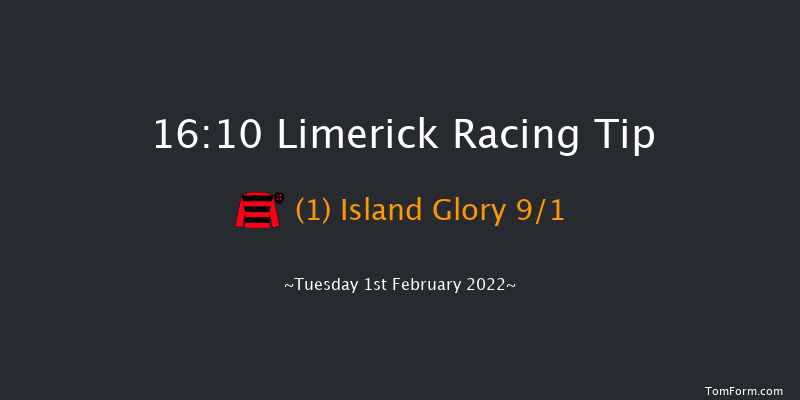 Limerick 16:10 Handicap Hurdle 16f Wed 29th Dec 2021