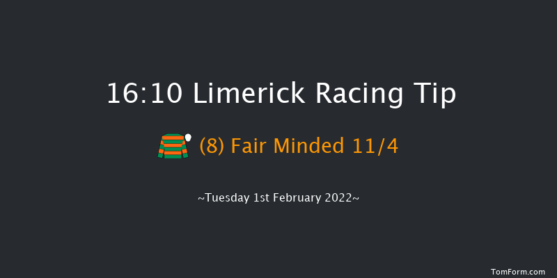 Limerick 16:10 Handicap Hurdle 16f Wed 29th Dec 2021