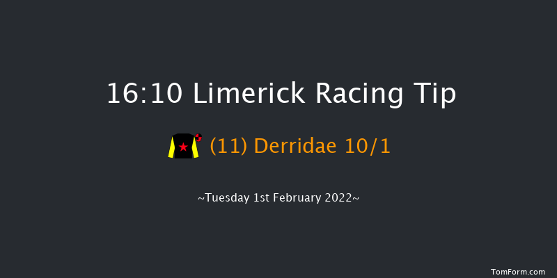 Limerick 16:10 Handicap Hurdle 16f Wed 29th Dec 2021