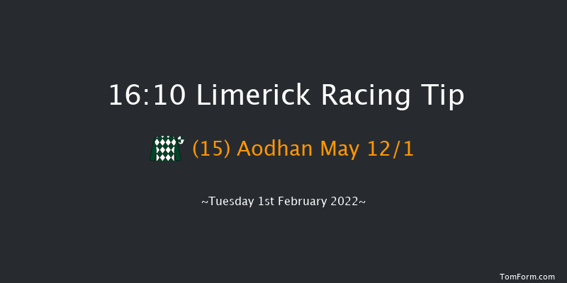 Limerick 16:10 Handicap Hurdle 16f Wed 29th Dec 2021