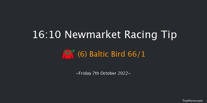 Newmarket 16:10 Handicap (Class 2) 12f Sat 1st Oct 2022