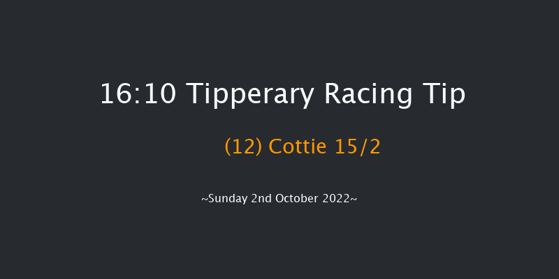 Tipperary 16:10 Handicap Hurdle 16f Fri 26th Aug 2022