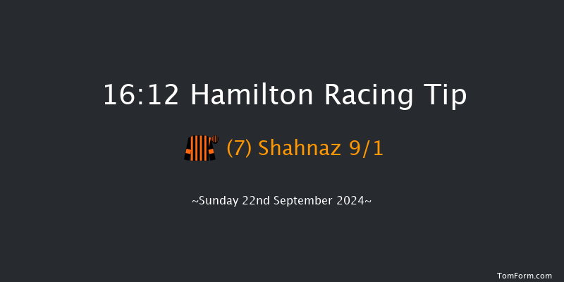 Hamilton  16:12 Handicap (Class 5) 9f  Wed 4th Sep 2024