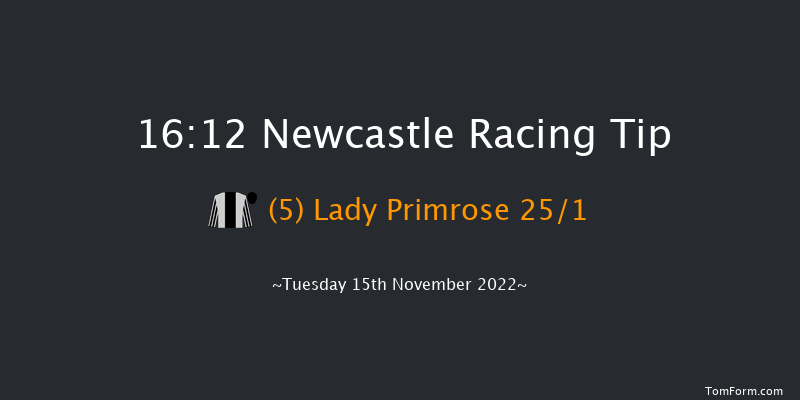 Newcastle 16:12 Maiden (Class 5) 6f Fri 11th Nov 2022