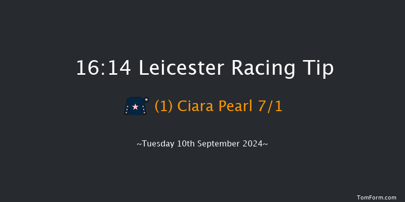 Leicester  16:14 Handicap (Class 4) 10f  Thu 18th Jul 2024