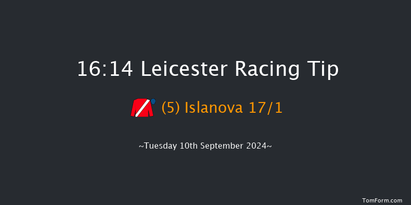 Leicester  16:14 Handicap (Class 4) 10f  Thu 18th Jul 2024