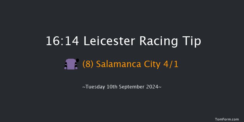 Leicester  16:14 Handicap (Class 4) 10f  Thu 18th Jul 2024