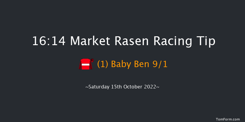 Market Rasen 16:14 Handicap Chase (Class 5) 19f Sat 24th Sep 2022