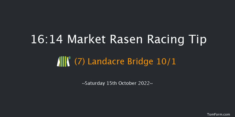 Market Rasen 16:14 Handicap Chase (Class 5) 19f Sat 24th Sep 2022