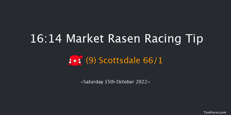 Market Rasen 16:14 Handicap Chase (Class 5) 19f Sat 24th Sep 2022