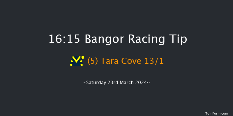 Bangor-on-dee  16:15 Handicap Hurdle (Class
5) 23f Wed 28th Feb 2024