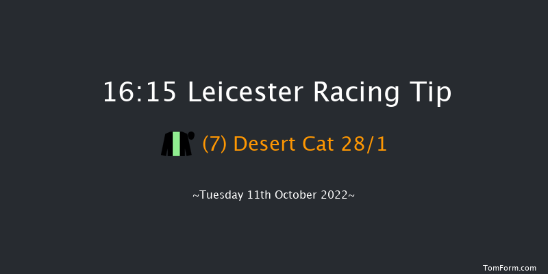 Leicester 16:15 Seller (Class 4) 7f Tue 4th Oct 2022