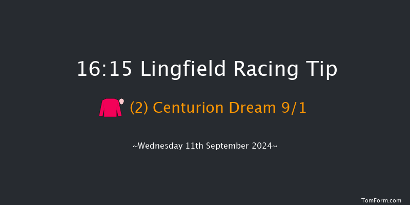 Lingfield  16:15 Handicap (Class 6) 8f  Tue 10th Sep 2024