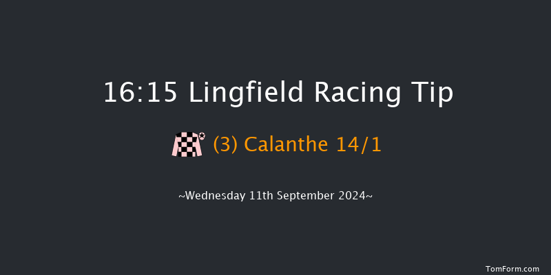 Lingfield  16:15 Handicap (Class 6) 8f  Tue 10th Sep 2024