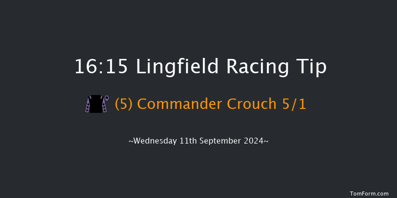 Lingfield  16:15 Handicap (Class 6) 8f  Tue 10th Sep 2024