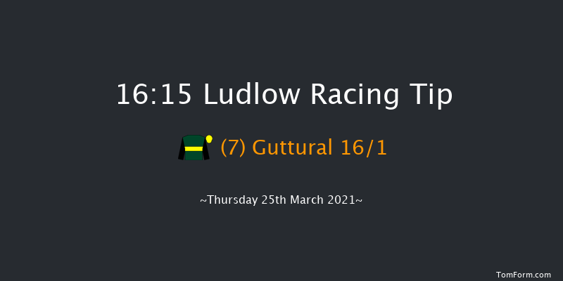 Ludlow Race Club Open Hunters' Chase (For The Ludlow Gold Cup) Ludlow 16:15 Hunter Chase (Class 5) 20f Thu 4th Mar 2021