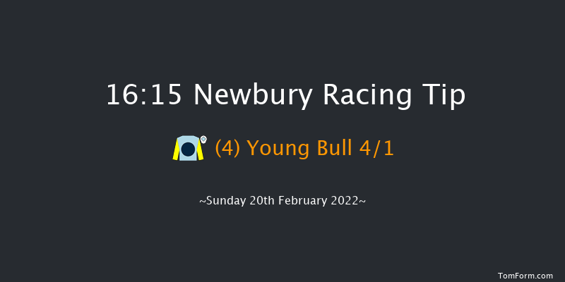 Newbury 16:15 Handicap Chase (Class 3) 22f Sat 12th Feb 2022