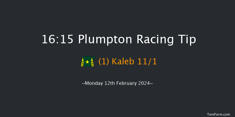 Plumpton  16:15 Handicap Hurdle (Class 4)
20f Mon 29th Jan 2024