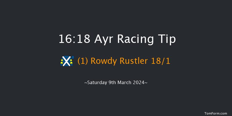 Ayr  16:18 Handicap Hurdle (Class 5) 24f Fri 8th Mar 2024