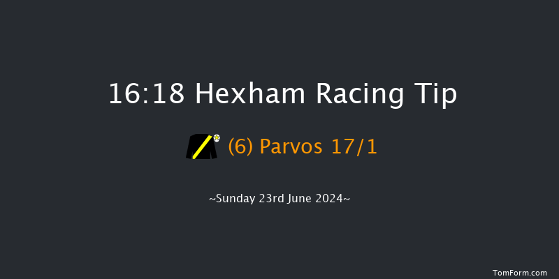 Hexham  16:18 Handicap Hurdle (Class 4) 20f Sat 15th Jun 2024