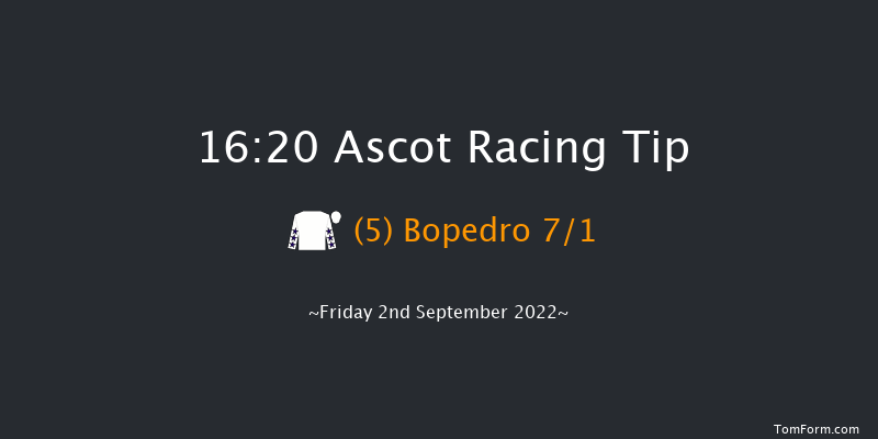 Ascot 16:20 Handicap (Class 2) 8f Sat 6th Aug 2022