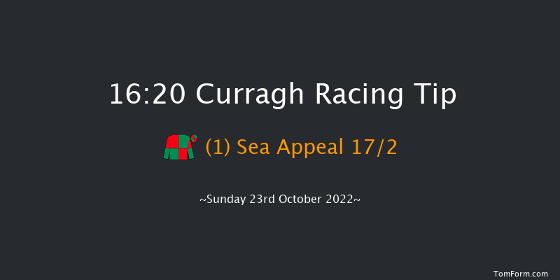 Curragh 16:20 Stakes 12f Thu 13th Oct 2022