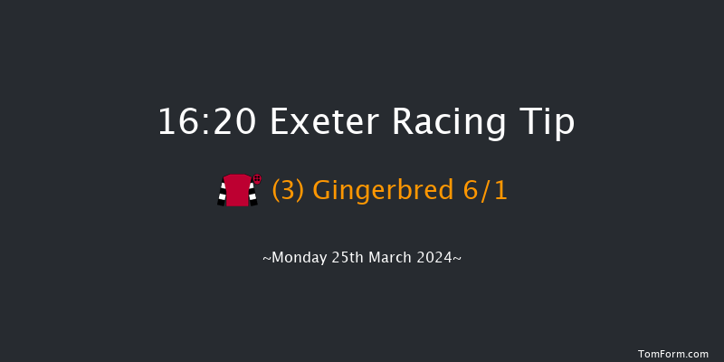 Exeter  16:20 Handicap Chase (Class 4) 24f Tue 19th Mar 2024