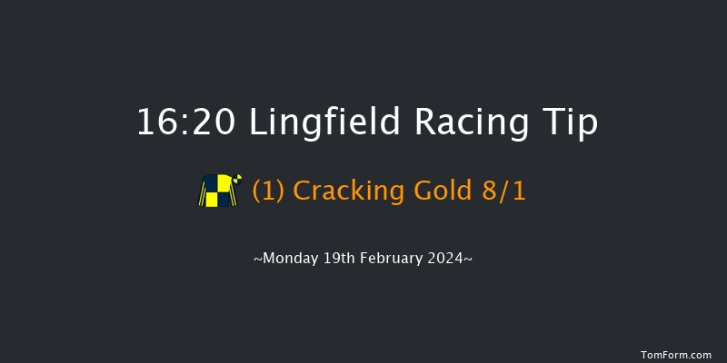 Lingfield  16:20 Stakes (Class 4) 7f Tue 13th Feb 2024