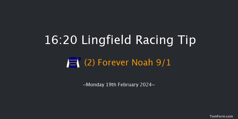 Lingfield  16:20 Stakes (Class 4) 7f Tue 13th Feb 2024