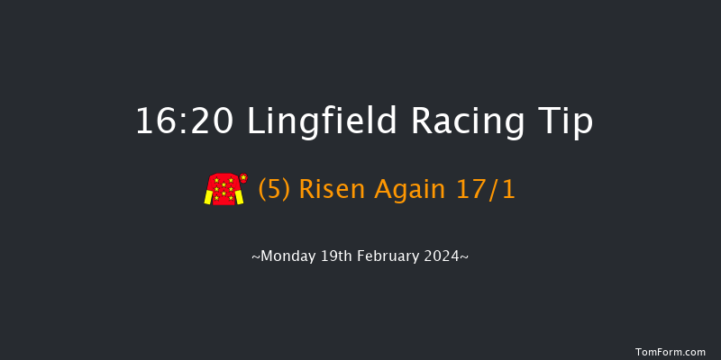 Lingfield  16:20 Stakes (Class 4) 7f Tue 13th Feb 2024