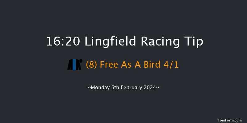 Lingfield  16:20 Handicap (Class 5) 6f Sun 4th Feb 2024